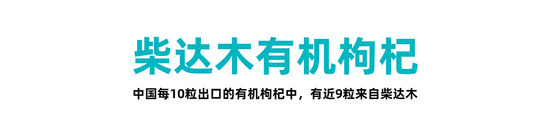 04-1海西州区域公用品牌汇报正式版(1219)-111.jpg